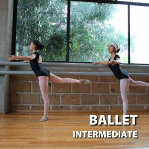 Ballet Intermediate
