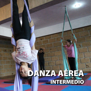 Danza Aérea Intermedio