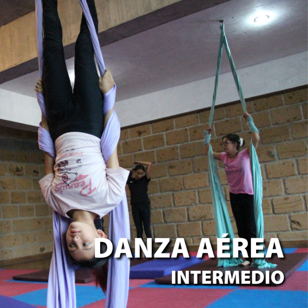 Danza Aérea Intermedio