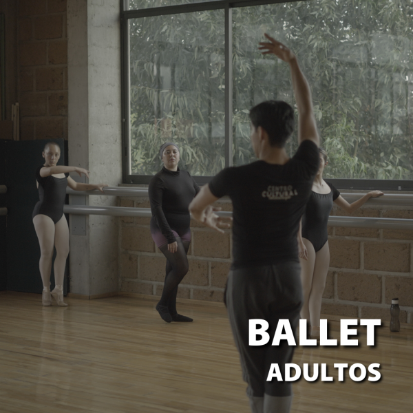Ballet para Adultos - Principiantes