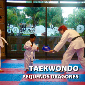 Taekwondo Pequeños Dragones