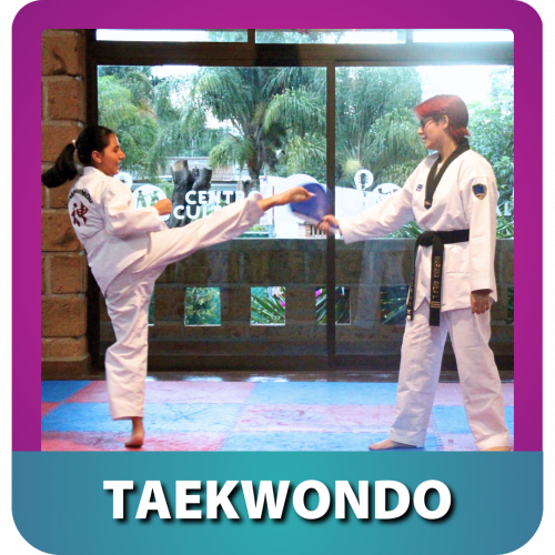 taekwondo